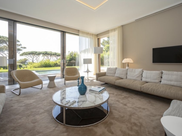 Palm tree living room